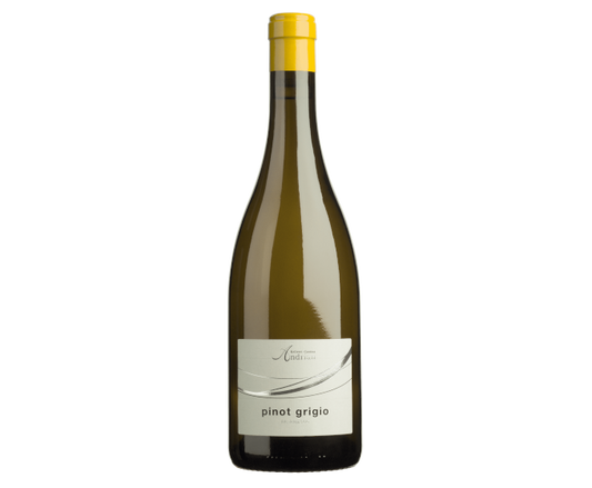 Kellerei Cantina Andrian Pinot Grigio Alto Adige 2020 750ml